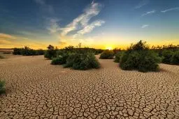 طبیعت زاگرس در بند انسان «اپوش»