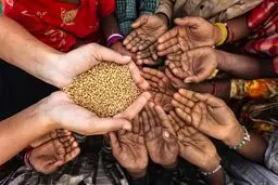 امنیت غذایی در ایران