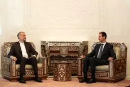 Iran to stand by Syria in finishing fight against terrorism