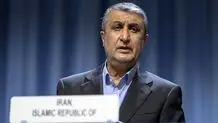 Iran's nuclear facilities 100% secure: AEOI chief