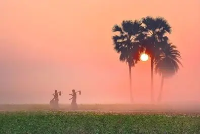 صبح مه‌آلود زمستانی در بنگلادش