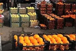حذف یارانه تنظیم بازار میوه شب عید