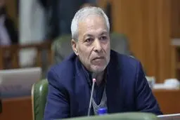 میرلوحی: این مجلس برآمده از رانت نظارت استصوابی تا کجا می‌خواهد برود؟

