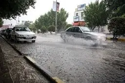 نگاه نفتی به باران