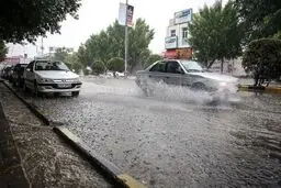 نگاه نفتی به باران