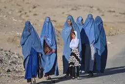 چیزی نظیر آتش در جانم پیچید*
