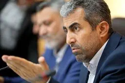 ۴۰ تا ۵۰ میلیارد دلار ارز خانگی در کشور وجود دارد
