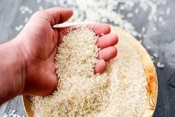 قیمت روز برنج ایرانی و خارجی یکشنبه ۲۶ اسفند / کدام برنج ارزان‌تر است؟
