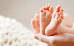 تعداد مرگ در گیلان و تهران و البرز بیشتر از تولد است