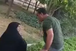 پلیس: ضارب امر به معروف در شیراز از نیروهای فراجا است/ پرونده در اختیار بازرسی کل فراجا قرار خواهد گرفت

