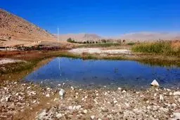 آبگیری و زنده شدن دوباره تالاب پیرسلمان