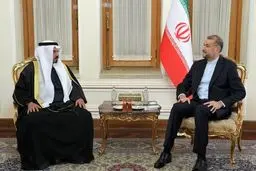 Zionist regime resorts to 'blind terrorism' in Gaza war: Iran