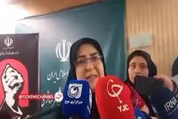 سخنگوی دولت: تغییر قیمت یا سهمیه بنزین قطعی است + ویدیو