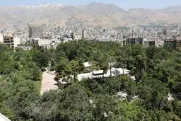 باغ، فقط با «نه گفتن» باغ نمی‌ماند/ باغات قربانی ساده‌انگاری نشوند