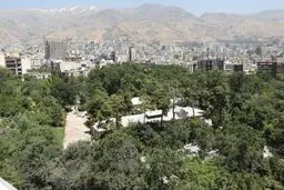 باغ، فقط با «نه گفتن» باغ نمی‌ماند/ باغات قربانی ساده‌انگاری نشوند