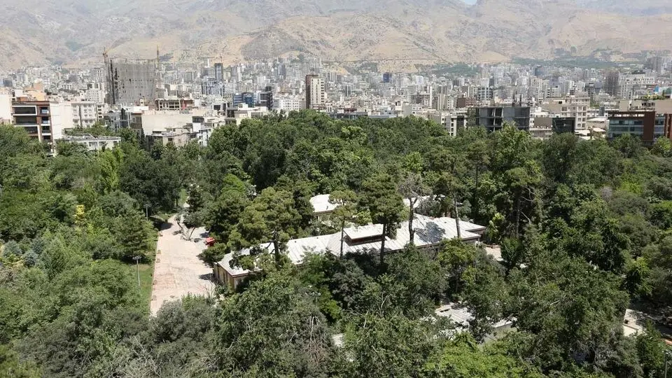 باغ، فقط با «نه گفتن» باغ نمی‌ماند/ باغات قربانی ساده‌انگاری نشوند