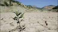 وزیر نیرو: امسال، سال سخت خشکسالی است