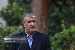 Other JCPOA parties must fulfill obligations, lift sanctions
