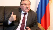 اولیانوف: اشاره رابرت مالی به «گزینه نظامی» علیه ایران غیرمسئولانه است