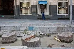 همه متهمان نابودی درختان ولیعصر
