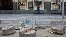 همه متهمان نابودی درختان ولیعصر
