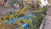 بارش باران در روستای مرق شهرستان کاشان را ببینید + ویدیو