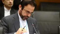 رضا نجفی: به قطعنامه علیه ایران عکس العمل شدید نشان می‌دهیم 