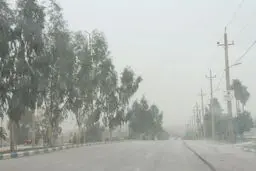 هشدار هواشناسی به تهرانی ها نسبت به وزش باد شدید/ از پارک خودرو در اطراف درختان و تابلو‌ها خودداری کنند