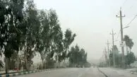 هشدار هواشناسی به تهرانی ها نسبت به وزش باد شدید/ از پارک خودرو در اطراف درختان و تابلو‌ها خودداری کنند