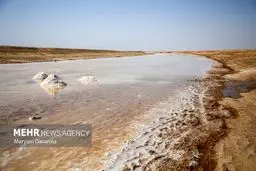 عامل اصلی آلودگی رودخانه شور ملارد مشخص شد