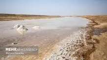 عامل اصلی آلودگی رودخانه شور ملارد مشخص شد