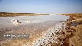 عامل اصلی آلودگی رودخانه شور ملارد مشخص شد