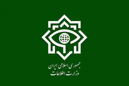 بیانیه وزارت اطلاعات در خصوص حوادث مدارس کشور