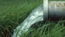 ۶۰ درصد آب در بخش کشاورزی هدر می‌رود