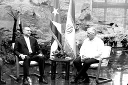 بسیار سفر شاید