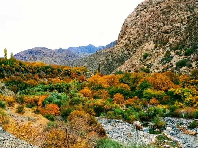 یکی از امن‌ترین و بکرترین مناطق جهان در آتش سوخت