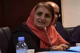 کسب‌وکارهای روستاییان بیشتر از قطع اینترنت لطمه می‌بینند
