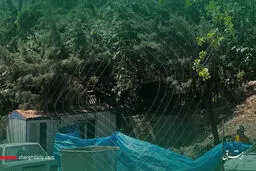 حصار کشی سریالی در بوستان‌ها؟