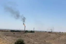 کاهش گاز سوزی در فلر NGL ۱۰۰۰ به همت شرکت پالایش گاز بیدبلند خلیج فارس