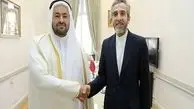 Iran, Qatar deputy FMs confer on bilateral relations