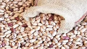 نوسان قیمت لوبیا چیتی؛ شکاف ۲۰۰ هزار تومانی در بازار و فروشگاه‌ها