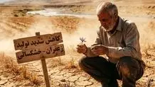کاهش تولید زعفران در برخی استان‌ها به دلیل کم‌آبی