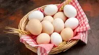 تخم مرغ همچنان کمتر از قیمت مصوب به فروش می‌رسد/ صادرات ۱۰۰ میلیون دلار تخم مرغ

