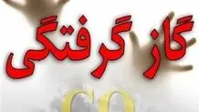 آمار نگران کننده  از گازگرفتگی در پاییز امسال
