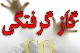 آمار نگران کننده  از گازگرفتگی در پاییز امسال
