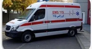 آمادگی کامل کمیته بهداشت و درمان اربعین/ استقرار ۸۰۰ آمبولانس و ۱۱۸ بیمارستان