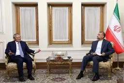 Iran determined to play active role in SCO: Amir-Abdollahian
