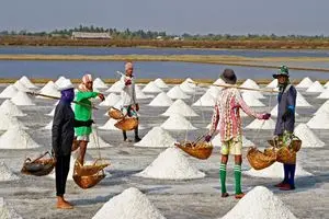 انجمن غدد هشدار داد نمک دریا جایگزین مناسبی نیست