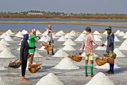 انجمن غدد هشدار داد نمک دریا جایگزین مناسبی نیست 