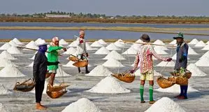 انجمن غدد هشدار داد نمک دریا جایگزین مناسبی نیست 